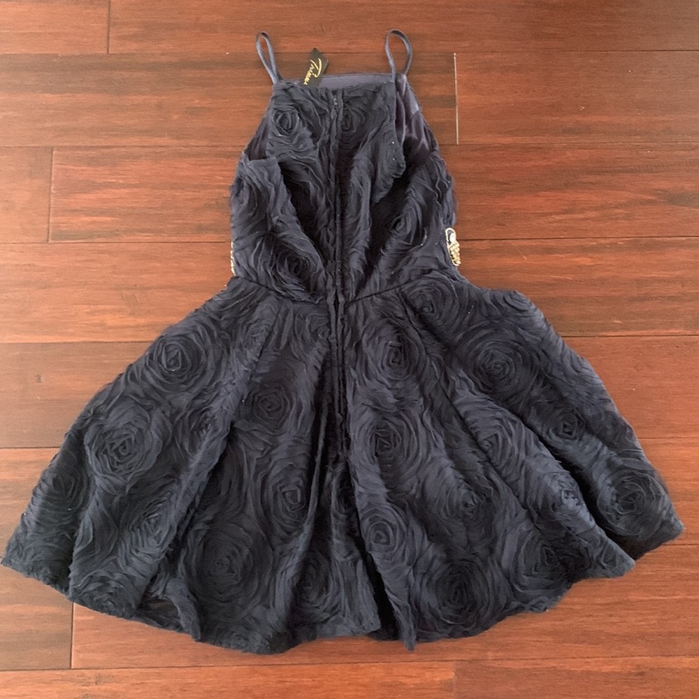 Homecoming/Prom dress - Picture 4 of 4